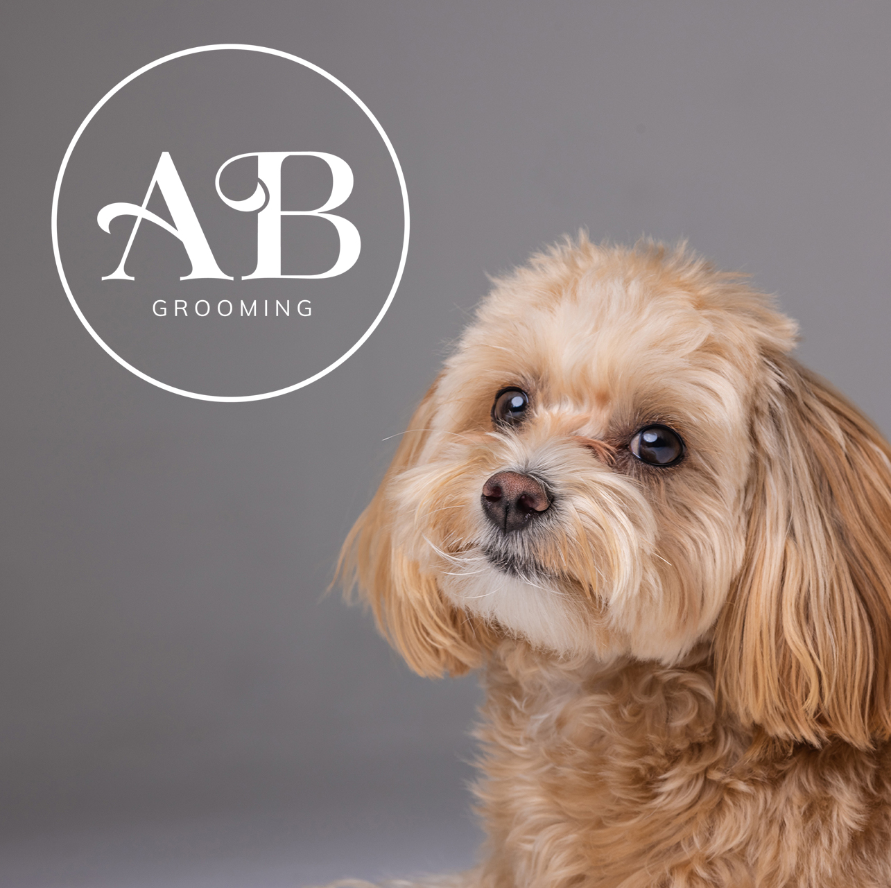 Albie's Boutique Grooming mobile